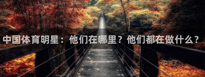 凯发官网下载招商电话号码查询:中国体育明星:他们在哪里?他们