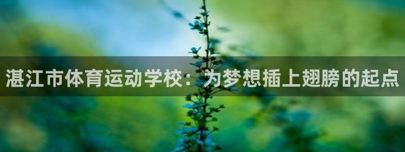 注册凯发官方正版app:湛江市体育运动学校:为梦想插上翅膀的