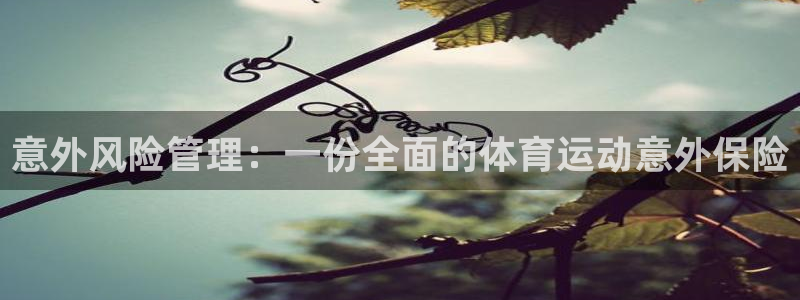 凯发官方正版app集团:意外风险管理:一份全面的体育运动意外